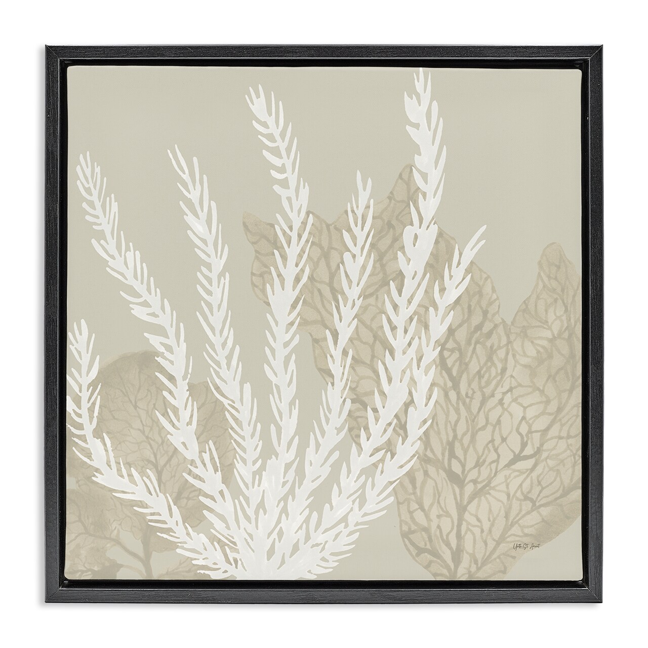Stupell Industries Neutral Coral on Beige Floating Frame By Yvette St. Amant